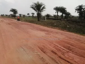 Buy Dryland at Facing Exp at Ode-Omi, Dangote Refinery Axis