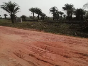 Buy Dryland at Facing Expressway at Ode-Omi, Dangote Refinery Ax,Ogun State