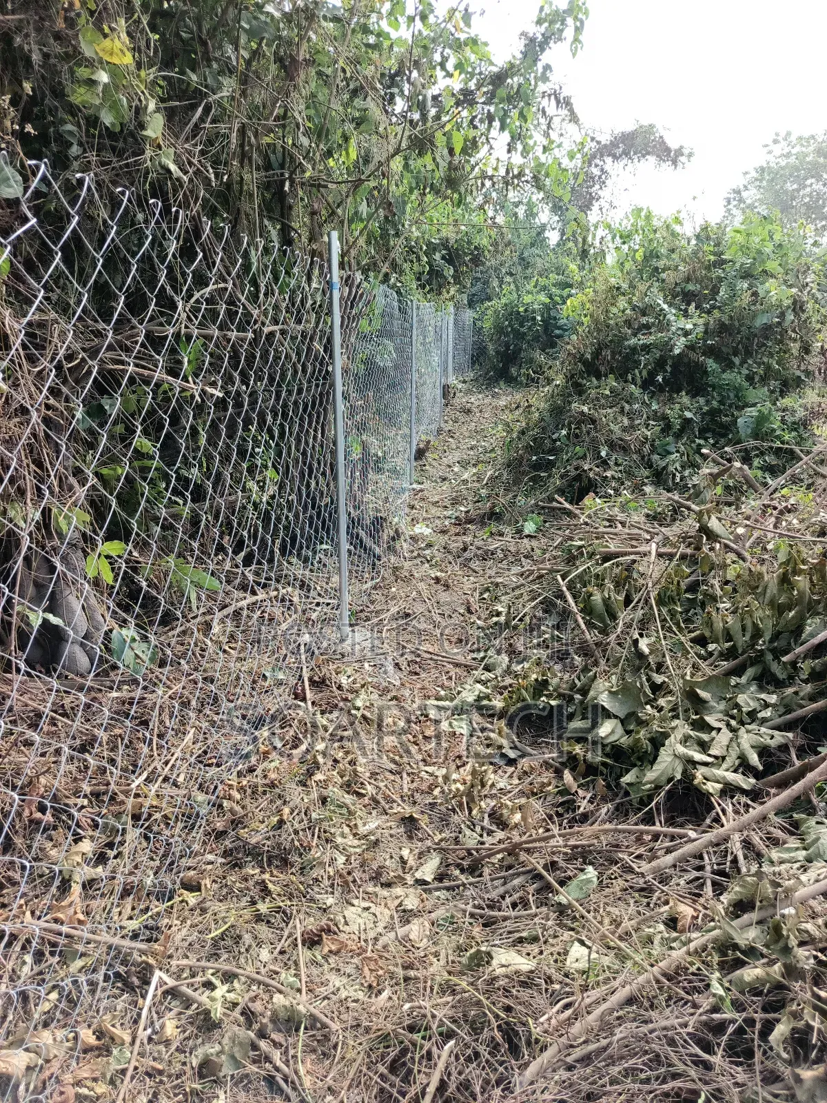 Farm Fencing