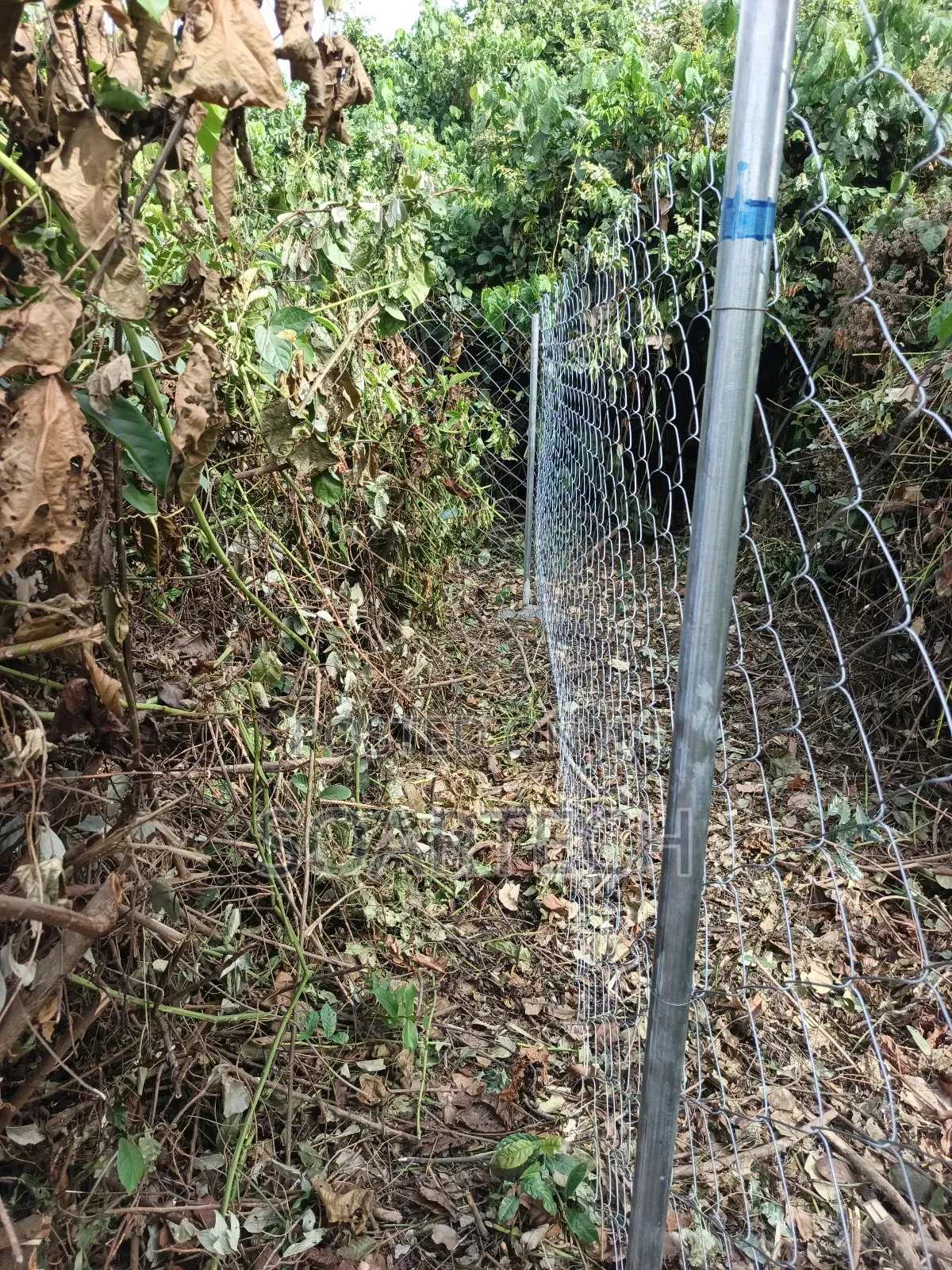 Farm Fencing