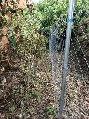 Farm Fencing