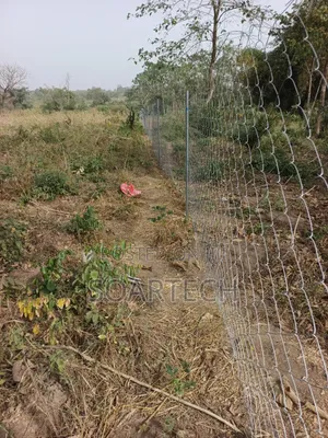 Farm Fencing