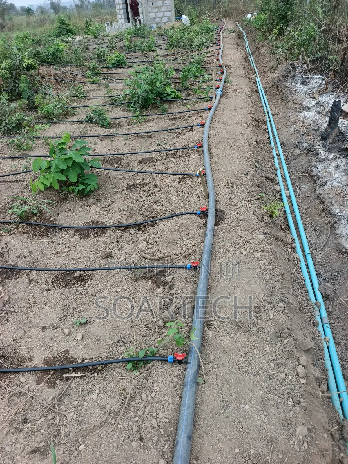 Irrigation System for Farm