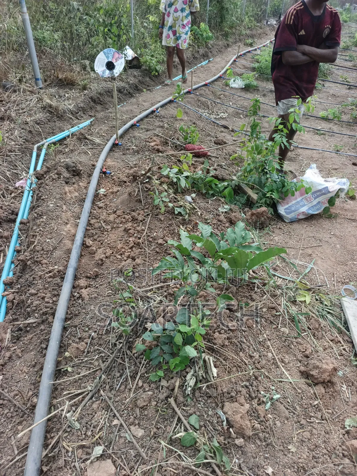 Irrigation System for Farm