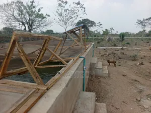 Construction of Fish Pond