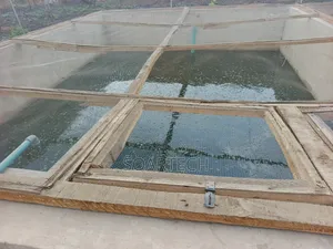 Construction of Fish Pond