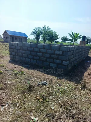 Fish Pond Farming