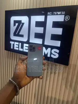 Apple iPhone 12 Pro Max 128 GB Gray