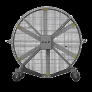 Gym Fan Fs300p
