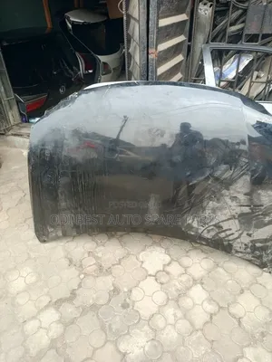 Lexus RX 350 Empty Bonnet Working One 2014 Model