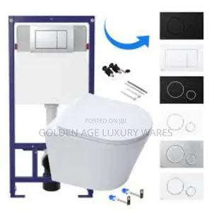 Concealed Cistern Wall Hung Wc