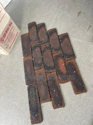 South Africa Bricks