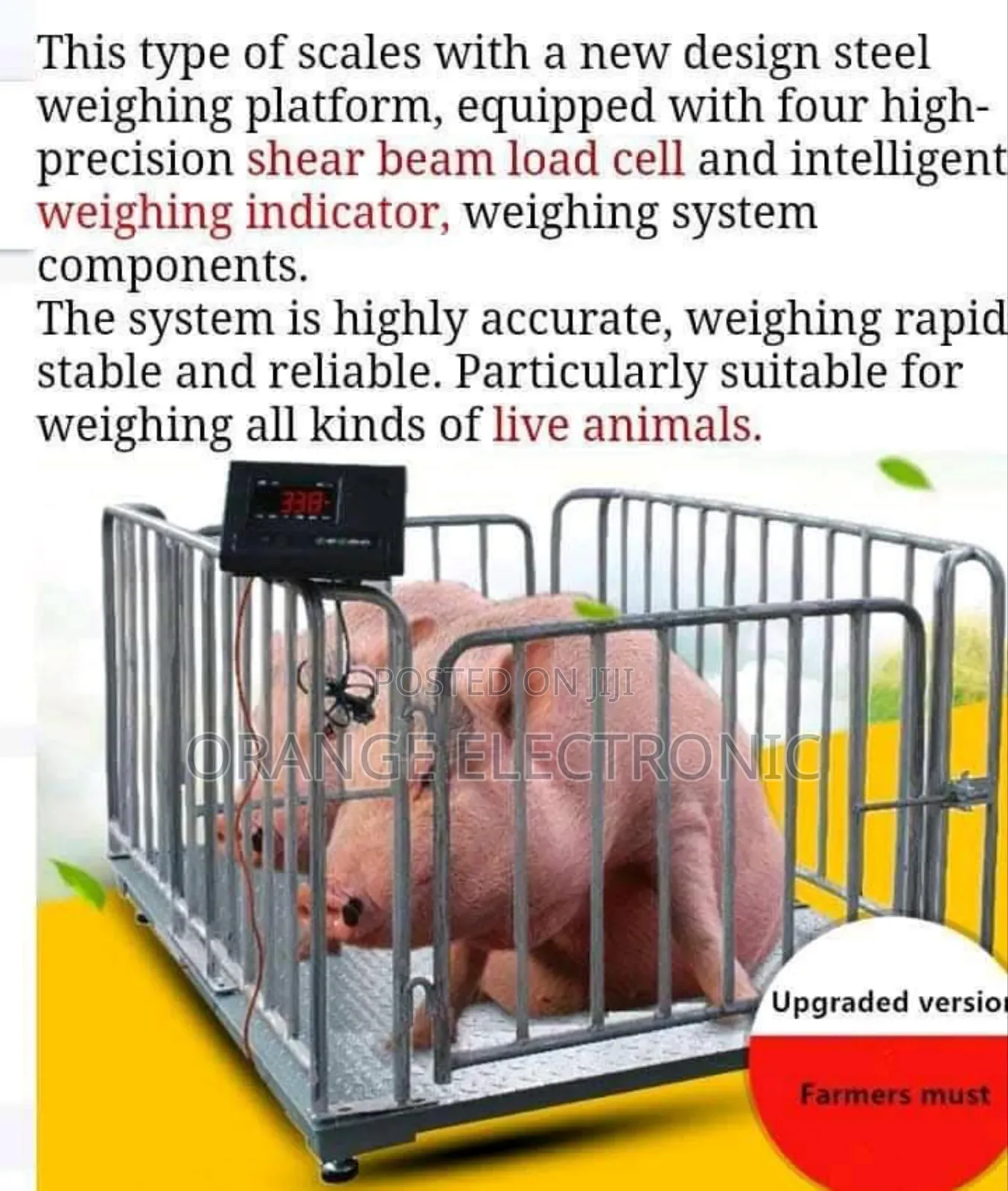 Animal Crossing Weighing Scale 5tom