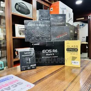 Canon Eos R6 Mark Il Rf 24-105mm F4 L Is Usm Kit
