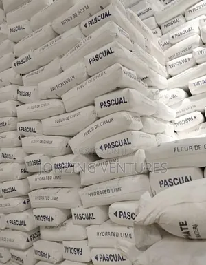 Photo - Hydrated Lime 25kg(Pascual)