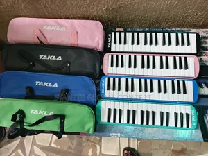 Professional Melodica