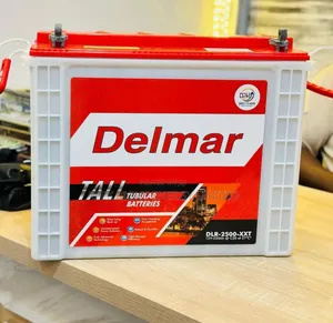 220ah Delmar Tubular Battery