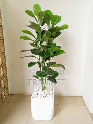 135cm Artificial Fiddle Leafs Potted With A Fiberglass Pot