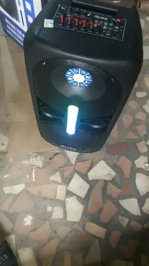 Portable Party Speaker With Double Microphone