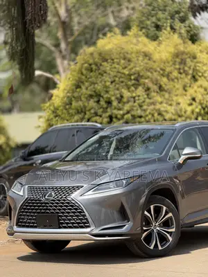 Lexus RX 350 2020 Gray