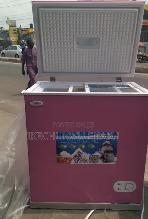 STARTEK Chest Freezer Model ST255L