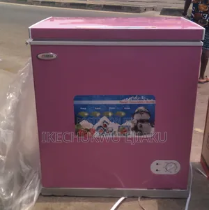 STARTEK Chest Freezer Model ST255L