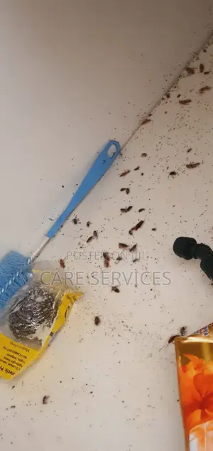 Compound Fumigation