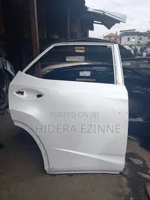 Lexus Rx350 2020 Model Back Door Right Empty