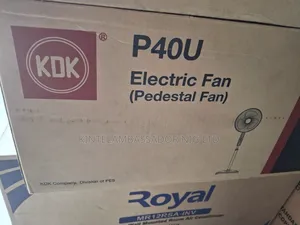 KDK Standing Fan - Ordinary P40v