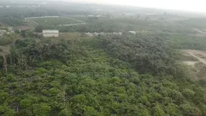 Build Your Dream Home Or Commercial Investments In Akodo!