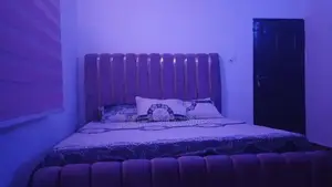 Furnished 3bdrm Shared Apartment in Anifowoshe, Ikeja for rent