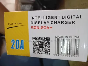20A Battery Charger