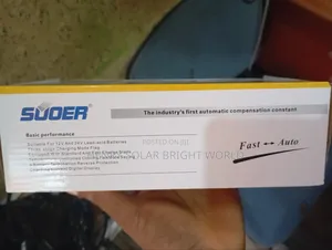 20A Battery Charger