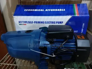 1hp Ircem Surface Water Pump