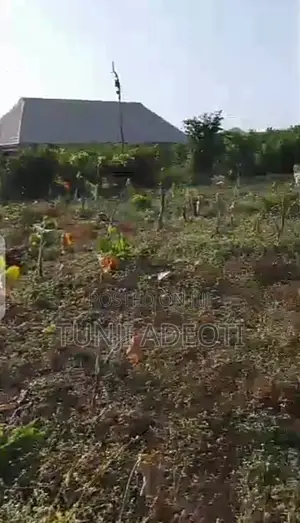 Photo - The Land Is Located at Apete After Lifeforte International