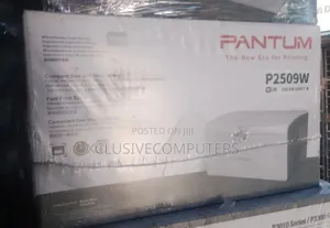 Pantum P2509w Printer
