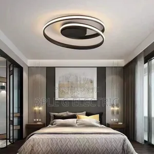 Morden Ceiling Mounted Lamp