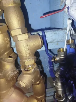 Non Return Valves