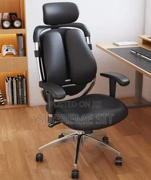 Executive Adjustable Hand Kidney Chair