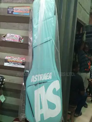 Bass Guitar Bag