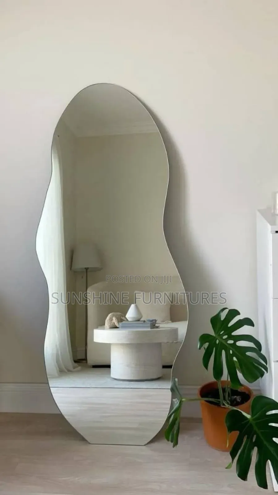 3/6ft Embryo Mirror
