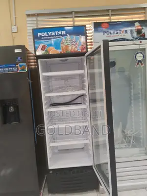 Polystar Pv-Sc426bg 350L Cool-Cabin Showcase Chiller