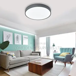 Round LED Modern Ceiling Lights Flush Mount Lighting