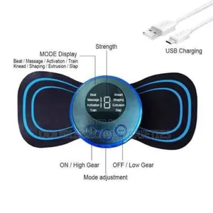 Mini Body Massager
