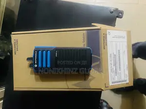 Walking Talking Model Dp4801ex Radio Motorola