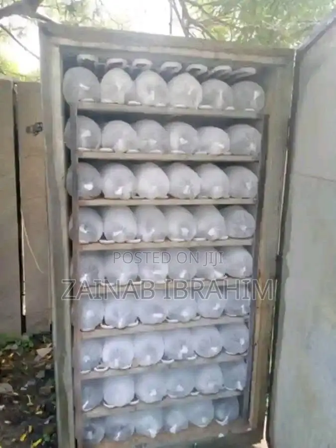 Ice Blocks