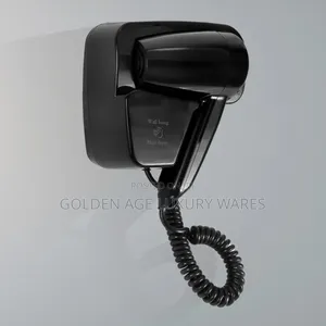 Black Hair Dryer