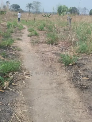 1000 Plots of Land for Sale