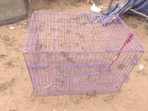 Photo - Dog Cage for Sale