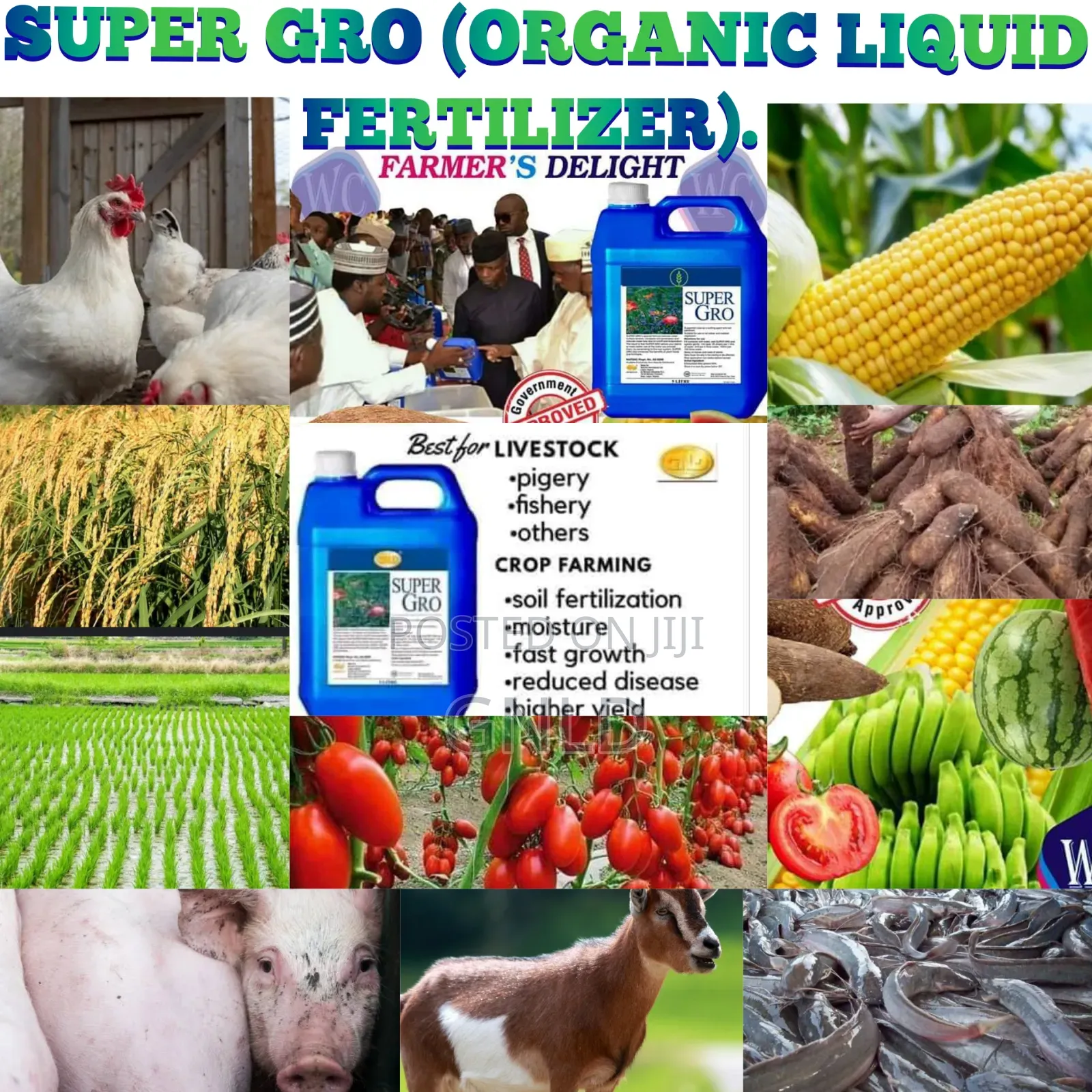 Super Gro Liquid Fertilizer